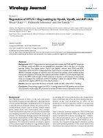 Báo cáo sinh học: 