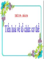 Bài giảng điện tử môn sinh học: tiến hóa về tổ chức cơ thể docx