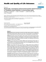 báo cáo hóa học: 