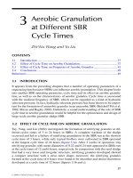 Wastewater Purification: Aerobic Granulation in Sequencing Batch Reactors - Chapter 3 potx