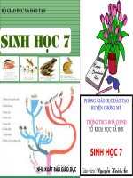 Giáo án điện tử môn môn sinh học: các loại sâu bọ phổ biến pdf