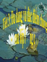 Giáo án điện tử môn môn sinh học: động vật ngành lưỡng cư docx