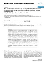 báo cáo hóa học: 