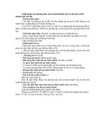 Chấp thuận cho phương tiện vận tải hành khách vận tải thử trên tuyến đường thủy nội địa docx