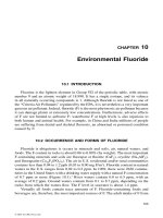 Environmental Life Cycle Costing - Chapter 10 pptx