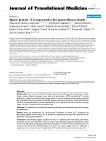 báo cáo hóa học: