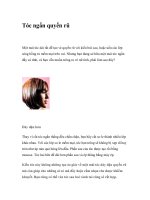 Tóc ngắn quyến rũ ppt