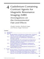 Fate of Pharmaceuticals in the Environment and in Water Treatment Systems - Chapter 4 potx