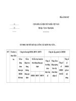 Mẫu số SỔ THEO CHI TIẾT KẾT QUẢ CÔNG TÁC KIỂM TRA NĂM 10b/S-KT doc