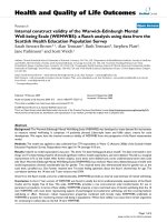 báo cáo hóa học: 