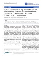 Báo cáo sinh học: 