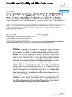 báo cáo hóa học: 