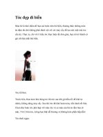 Tóc đẹp đi biển ppt