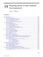 Biology of Marine Birds - Chapter 19 (end) potx