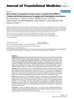 báo cáo hóa học: