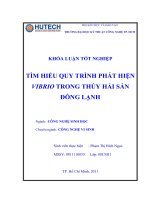 Luận văn công nghệ sinh học Tìm hiểu quy trình phát hiện Vibrio trong thủy hải sản đông lạnh
