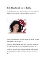 Tinh dầu cho mái tóc và da đầu pot