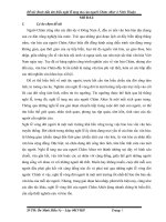 tieu luan VAN HOA CHAM ppt