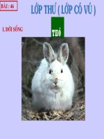 Giáo án điện tử môn môn sinh học: lớp có vú pdf