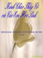 Bài giảng điện tử môn sinh học: Bộ xương pot