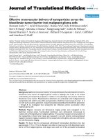 báo cáo hóa học: