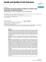 báo cáo hóa học: 