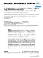 báo cáo hóa học: