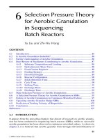 Wastewater Purification: Aerobic Granulation in Sequencing Batch Reactors - Chapter 6 pptx