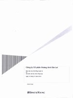 Báo cáo tài chính công ty cổ phần Hoàng Anh Gia Lai_Năm tài chính kết thúc ngày 31 tháng 12 năm 2010 potx