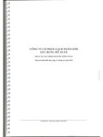 Báo cáo tài chính công ty cổ phần gạch ngói gốm xây dựng Mỹ Xuân_phần 2 doc