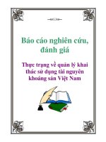 Báo cáo nghiên cứu, đánh giá : Thực trạng về quản lý khai thác sử dụng tài nguyên khoáng sản Việt Nam docx
