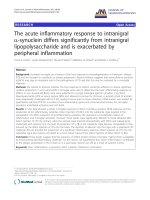 báo cáo hóa học: 