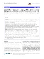 báo cáo hóa học: 