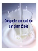 CÔNG NGHỆ SẢN XUẤT CÁC SẢN PHẨM TỪ SỮA