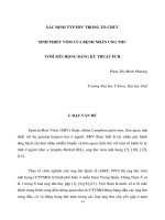 Báo cáo nghiên cứu khoa học 