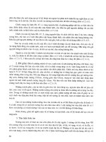 Khảo cổ học vùng duyên hải đông bắc Việt Nam part 2 ppt