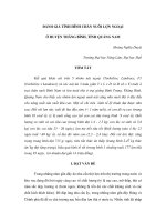 Báo cáo nghiên cứu khoa học 