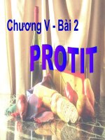 Bài giảng điện tử môn hóa học: Protit docx