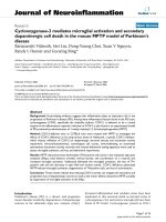 báo cáo hóa học: 