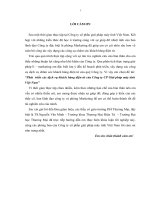 Phát triển các dịch vụ khách hàng điện tử của Công ty CP Giải pháp máy tính Việt Nam