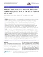 báo cáo hóa học: 