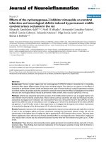 báo cáo hóa học: 