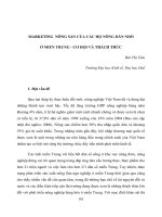 Báo cáo nghiên cứu khoa học 