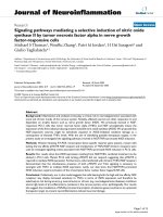 báo cáo hóa học: 