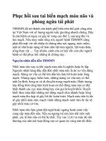 Phục hồi sau tai biến mạch máu não và phòng ngừa tái phát pot