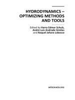 Hydrodynamics Optimizing Methods and Tools Part 1 potx