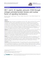 báo cáo hóa học: 