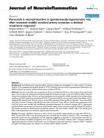 báo cáo hóa học: 