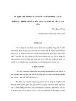 Báo cáo nghiên cứu khoa học 