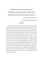 Báo cáo nghiên cứu khoa học 